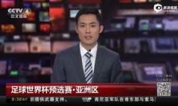 央视爆料偷钱案件最新进展,嫌疑人落网，案情细节披露